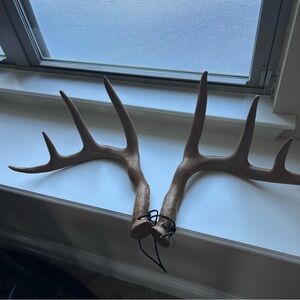 Primos Deer Antlers Fighting Rattle Set Hunting Call Outdoor Hunt Game Call